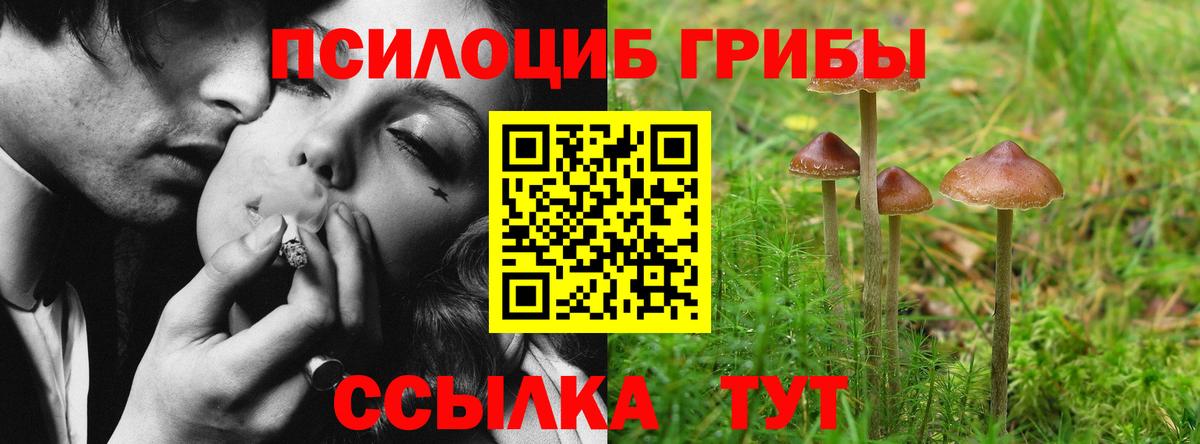 Нарткала  Псилоцибиновые грибы мицелий  Псилоцибиновые грибы Psilocybine cubensis  Вход с VPN 